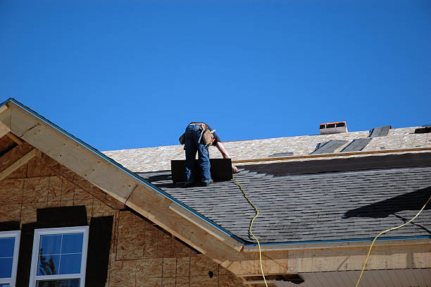 Best Roof Gutter Cleaning  in Hutchins, TX