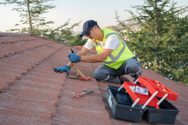 Best Metal Roofing Contractor  in Hutchins, TX