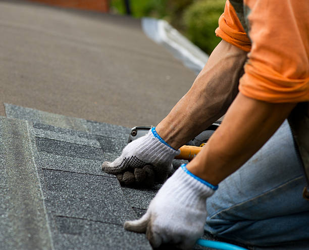 Best Storm Damage Roof Repair  in Hutchins, TX
