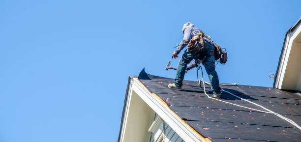 Sealant for Roof in Hutchins, TX